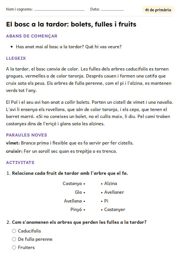Fitxa «El bosc a la tardor: bolets, fulles i fruits» de vocabulari per a 4t de primària
